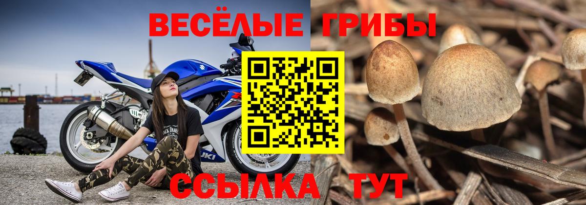 наркошоп  Галлюциногенные грибы Cubensis  Вход с VPN  Урай  Галлюциногенные грибы ЛСД 